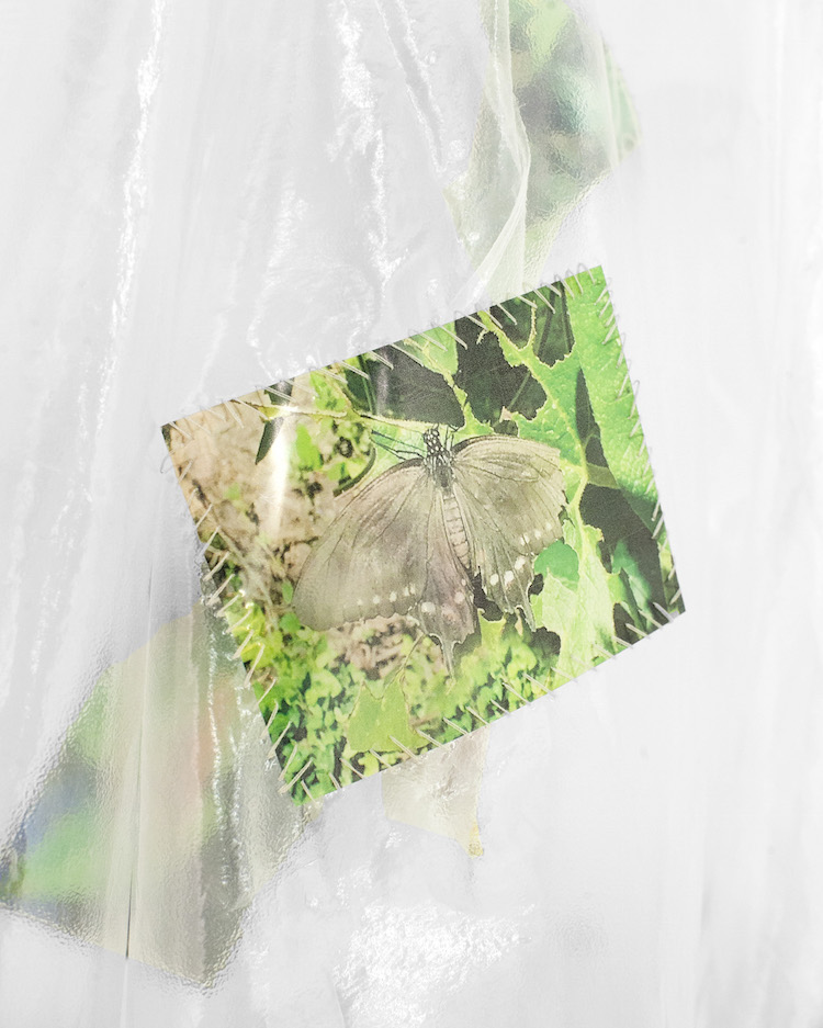 ”Butterfly Trench,” 2019. PVA Plastic, Inkjet Print on Transparency Film, Embroidery Thread, Buttons, Pewter. 16 x 48 Inches (Variable).