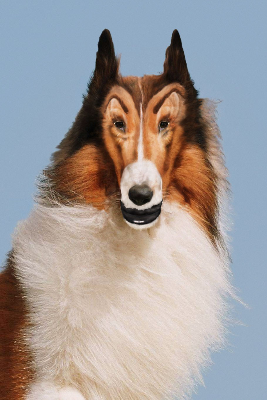 JOHN WATERS, Reconstructed Lassie, 2012