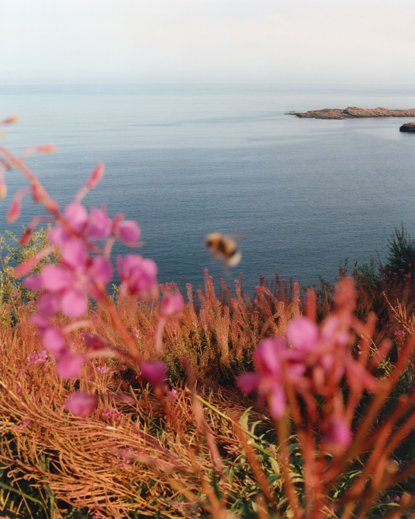 © Jamie Hawkesworth / Huxley-Parlour