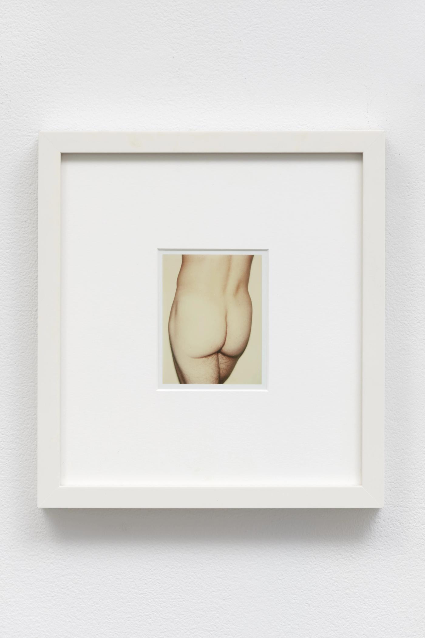 Nude Male Model (4/4), 1976 Unique polaroid print (Polacolor Type 108)