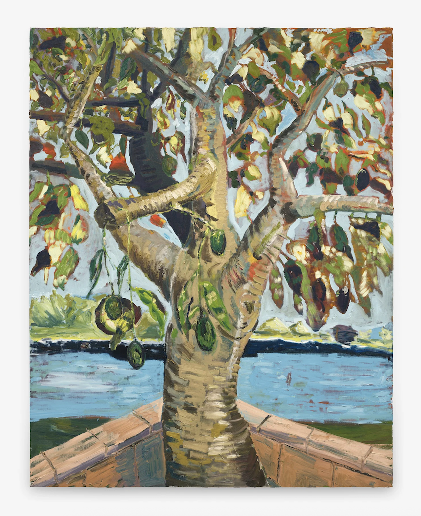 Ken Taylor Reynaga "Golden Hills" @ Shrine, NYC