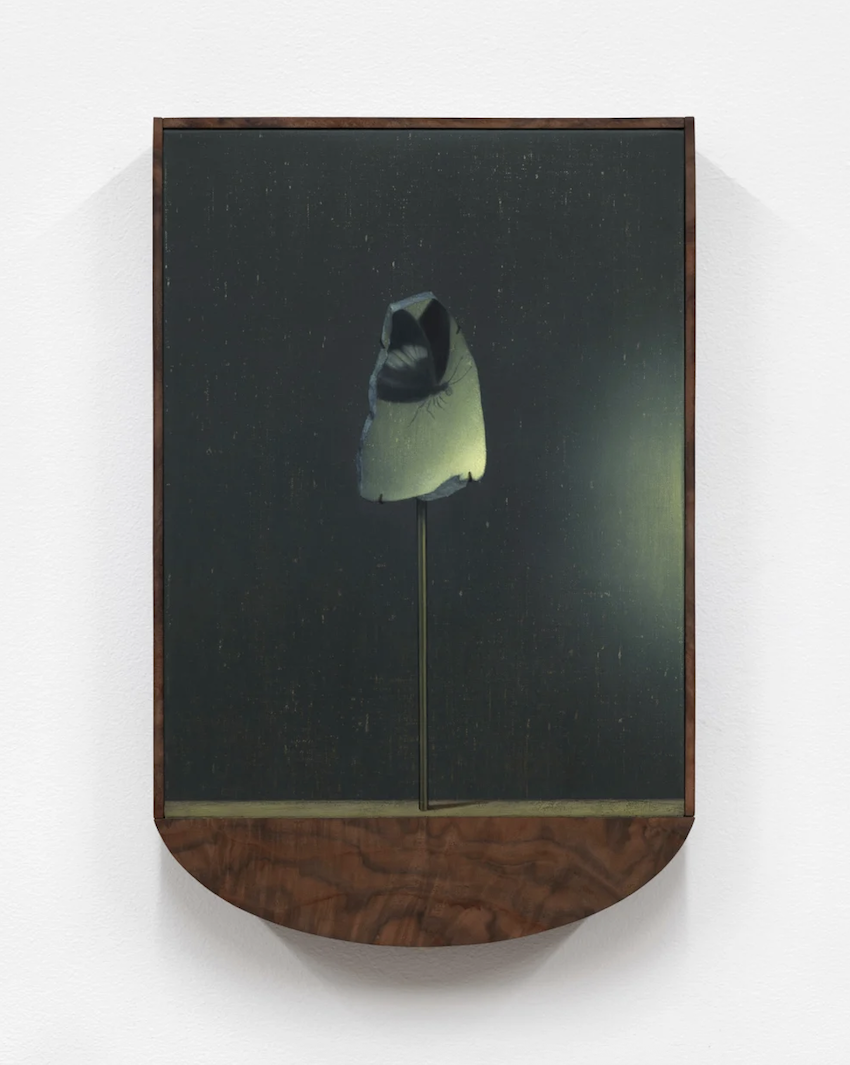 Carousel Image number 5