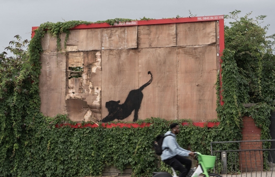 And on Day 6... Banksy Paints a Cat and Admits He Is Playing