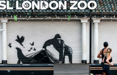 And on Day 9... Banksy's Gorilla Has Let the Animals Out of the London Zoo image